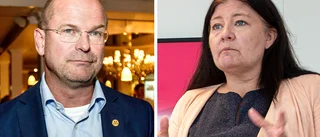 Regionråden: Det här ska granskas