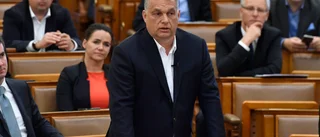 Släpphänthet mot Ungern gör EU lika tandlöst som FN