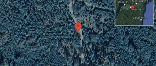 Fallna träd skapar problem i trafiken