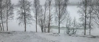 Vädret: Upp till 20 centimeter snö – och vädervarningar