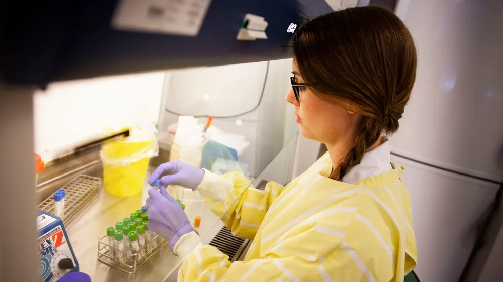Labbrock, handskar och säkerhetsbänk. Ellinor Tuvhag, biomedicinsk analytiker, demonstrerar hur proverna hanteras.