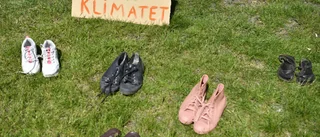 Att rädda klimatet har sitt pris
