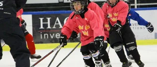 Ställer in hockeyskola i sommar