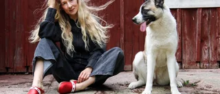 Världsturnén ställdes in – byttes mot torp på slätten