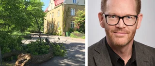 Stor trädgren gick av - "Det här ser vi allvarligt på"