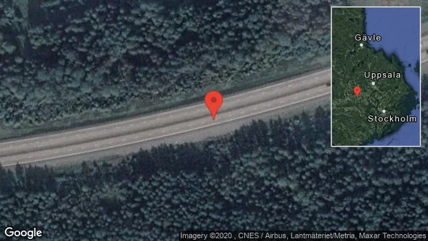 Älg på vägen på E18