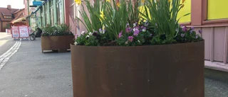 Rabatter och blomurnor spirar av liv