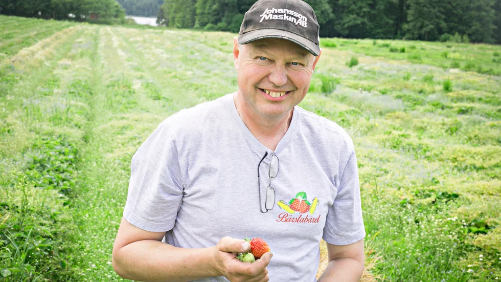 Jordgubbsodlaren Erik Sjögren säger att det kan bli ett rekordår med jordgubbar men att de inte hinner bli mogna till midsommar.