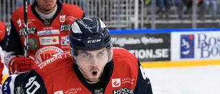 Klart med nya klubbar för tidigare VIK-spelare