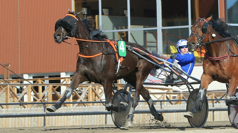 Toppspurt av Kiara Sånna som Rikard N Skoglund skrällde rejält med i Dannero V75.