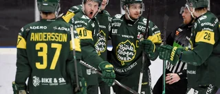 Tvåmålsskytten Selin visade vägen i allsvenska toppmötet mot Timrå