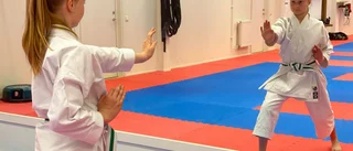 Fyra silver till Dojo i e-karate