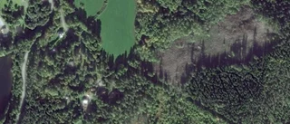 Fastighet i Kinda kommun såld för 80 000 kronor
