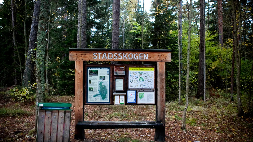 Om vi alla hjälps åt att vara försiktiga vid eldstäder och vid användandet av engångsgrillar men även hörsammar myndigheternas eldningsförbud när torka råder, kommer Stadsskogen finnas kvar i många hundra år framöver, skriver Rickard Malmström