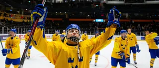 Klart: LHC-backen har skrivit på för Vita Hästen