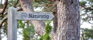 Västerbotten får för lite pengar för att sköta våra naturreservat