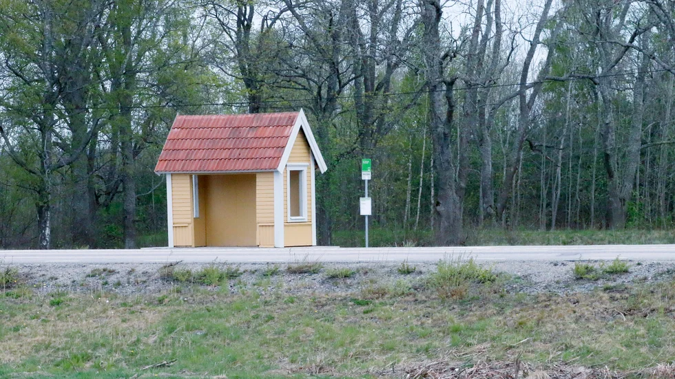 Skribenten efterlyser en busskur.