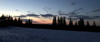 Läsarbilden                   