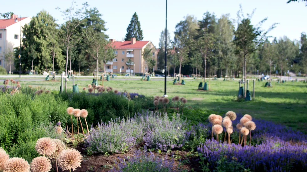 Insändarskribenten tycker att trafiksäkerheten i Katrineholm är under all kritik.