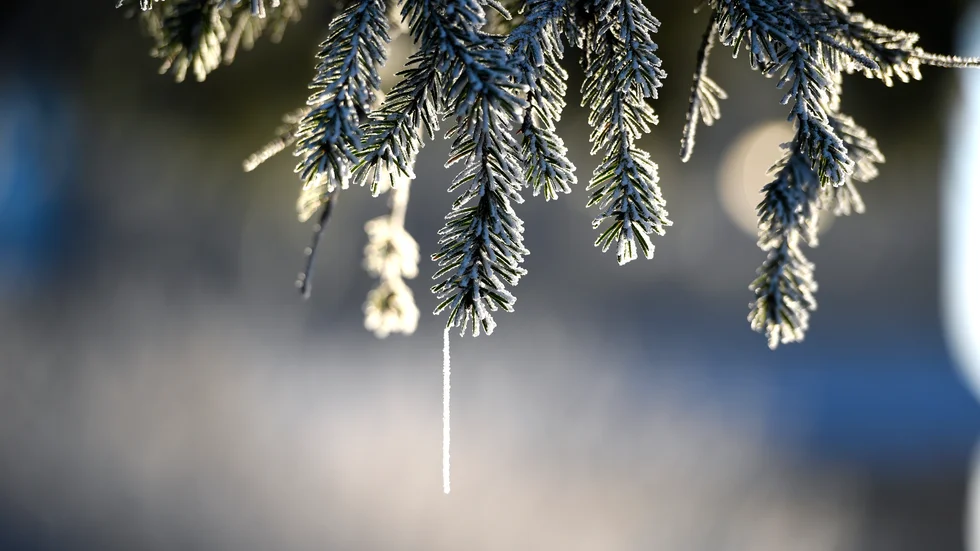 Dagen bjuder på mest klart väder, men det kan tidvis vara snöbyar. 