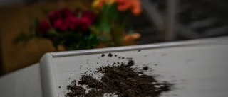 Så länge får döda vänta på begravning