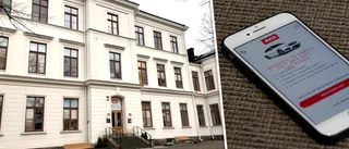 Säljer vidare elbilar: "Satt i system"