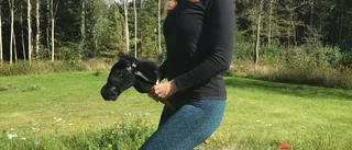 Matilda utmanar SVT-kändis i käpphäst