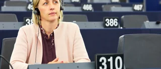 Publiktak på 50 utreds - arrangören ändrar direkt