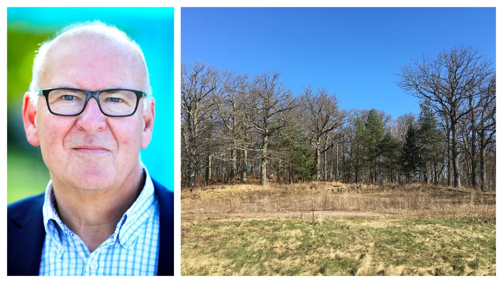 Efter sommaren ska Magnus Stuart (M), miljö- och samhällsbyggnadsnämndens ordförande, möta Mariefredsborna för att lyssna till deras åsikter om detaljplaneförslaget för gamla vattenverkstomten vid Fågelsången.
