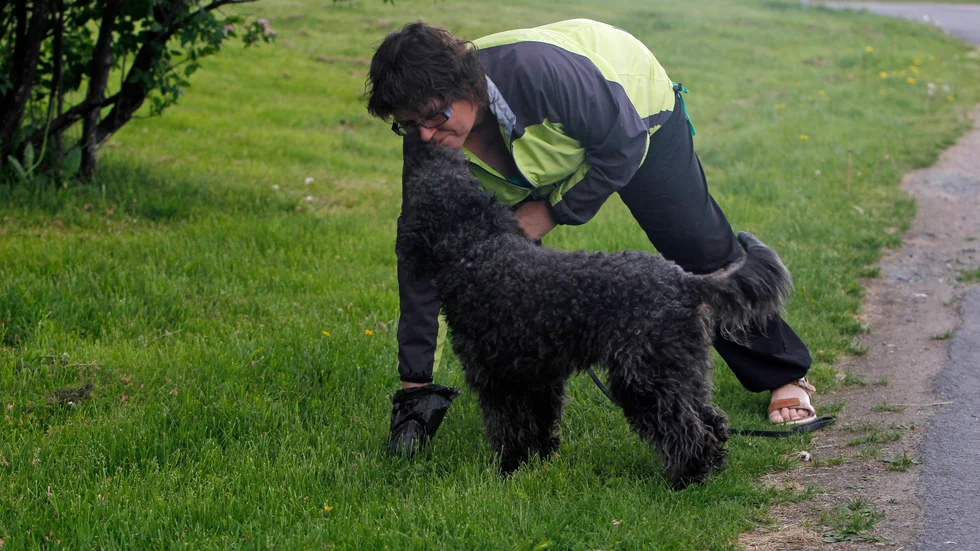 Det är för dåligt att så många inte plockar upp efter sin hund. Här en hundägare som vet hur man gör, men alltför många tittar bara åt andra hållet, påpekar skribenten. (Arkivbild)
