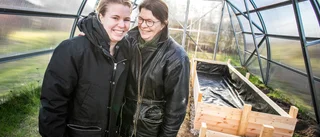 Nygammalt köpmanskvarter i innerstan