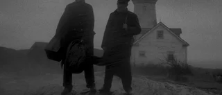 Det värsta som hänt måsarna sedan Hitchcock