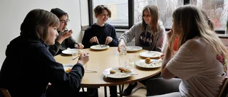 Elever positiva till nytt köttkoncept