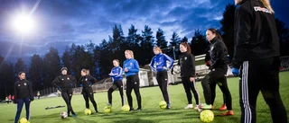 DFK:s tränarjakt fortsätter     