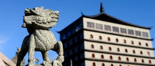 Internationella stjärnor till Dragon Gate