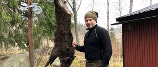 Markägare vill att jaktlag samarbetar 