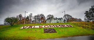 Fler blommande ängar i Oxelösund