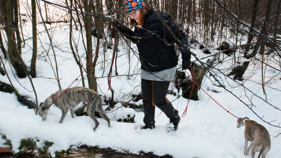 Att gå i skogen är bra träning, för konditionen och koordinationen konstaterar Eira Taipalensuu. 