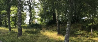Naturreservat har bildats i Helgarö