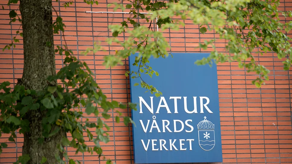 Utdragna tillståndsprocesser skrämmer bort investerarna. 