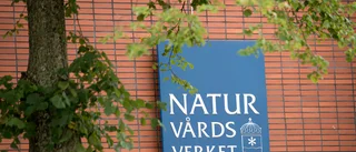 Det måste finnas gränser             