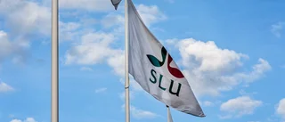 Högt söktryck på SLU:s nya utbildning