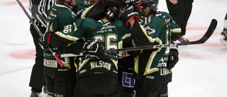 Han blir ny tränare för ESK Hockey 