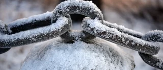 Sällskapet Länkarnasär en tillgång