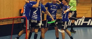 Seger, mål och topp i poängligan