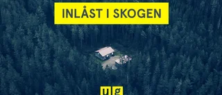 Perez (SD) ser avslöjandet som del i maktkamp