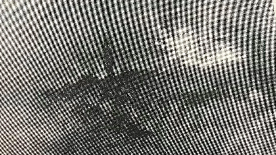 Kuriren för 50 år sedan: En häftig skogsbrand härjade vid sopgropen i Vik.

