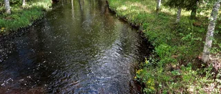 Läsarbilden                    