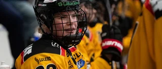 Trion stannar i Luleå/MSSK    