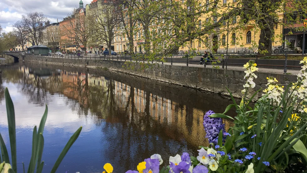 Blommor blommar på en bro längst Västgötaspången. Över gatan syns gatan som i år förvandlats till sommargata.